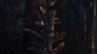 Spring - Blender Open Movie