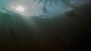 Garden Party   Oscar Nominated CG Animation   Short of the Week